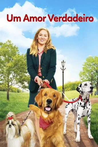 Pôster de Um Amor Verdadeiro (2014)