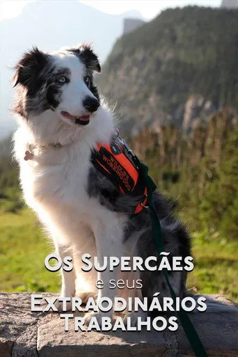 Pôster de Os Supercães e Seus Extraordinários Trabalhos (2019)